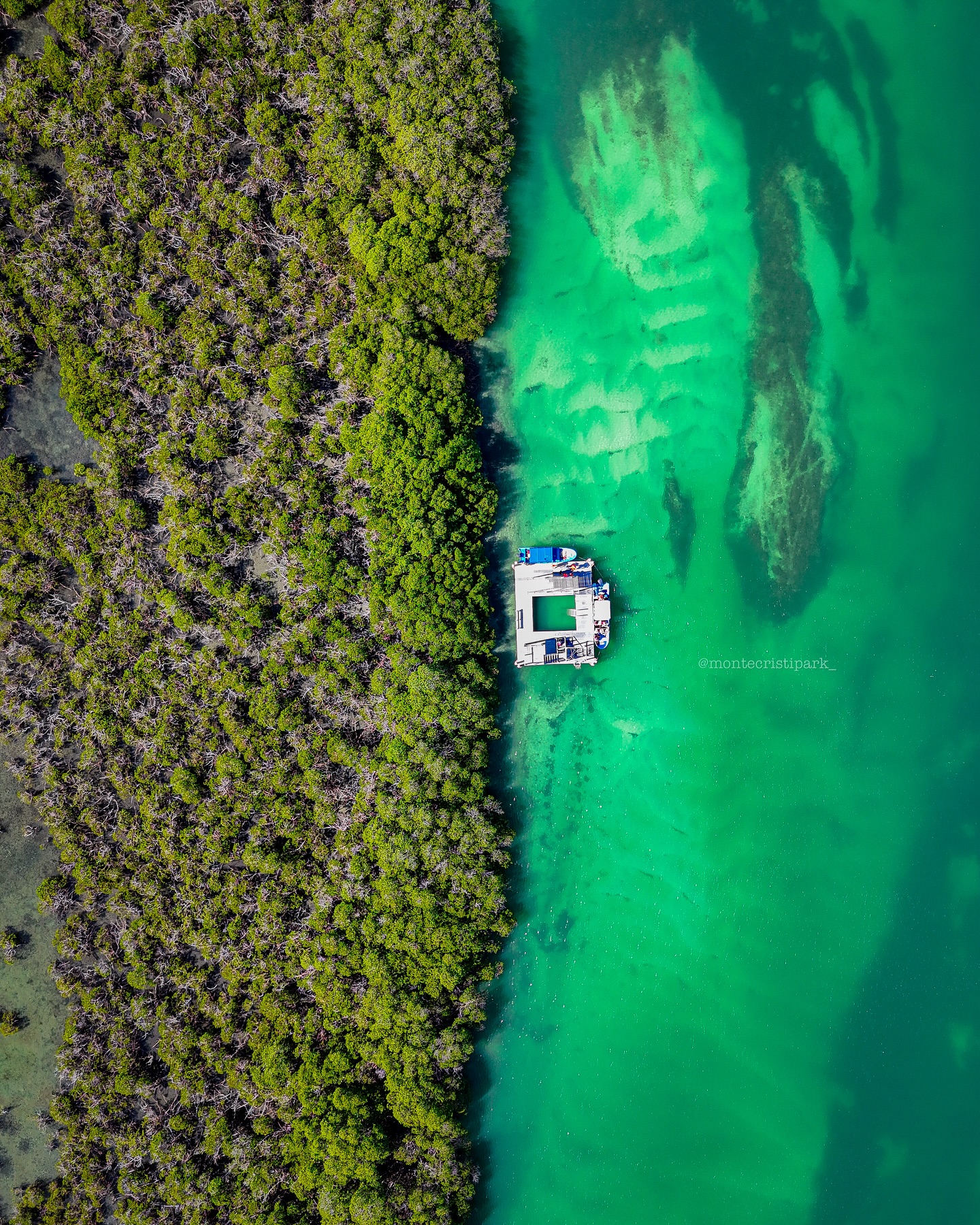 Manglares de Montecristi