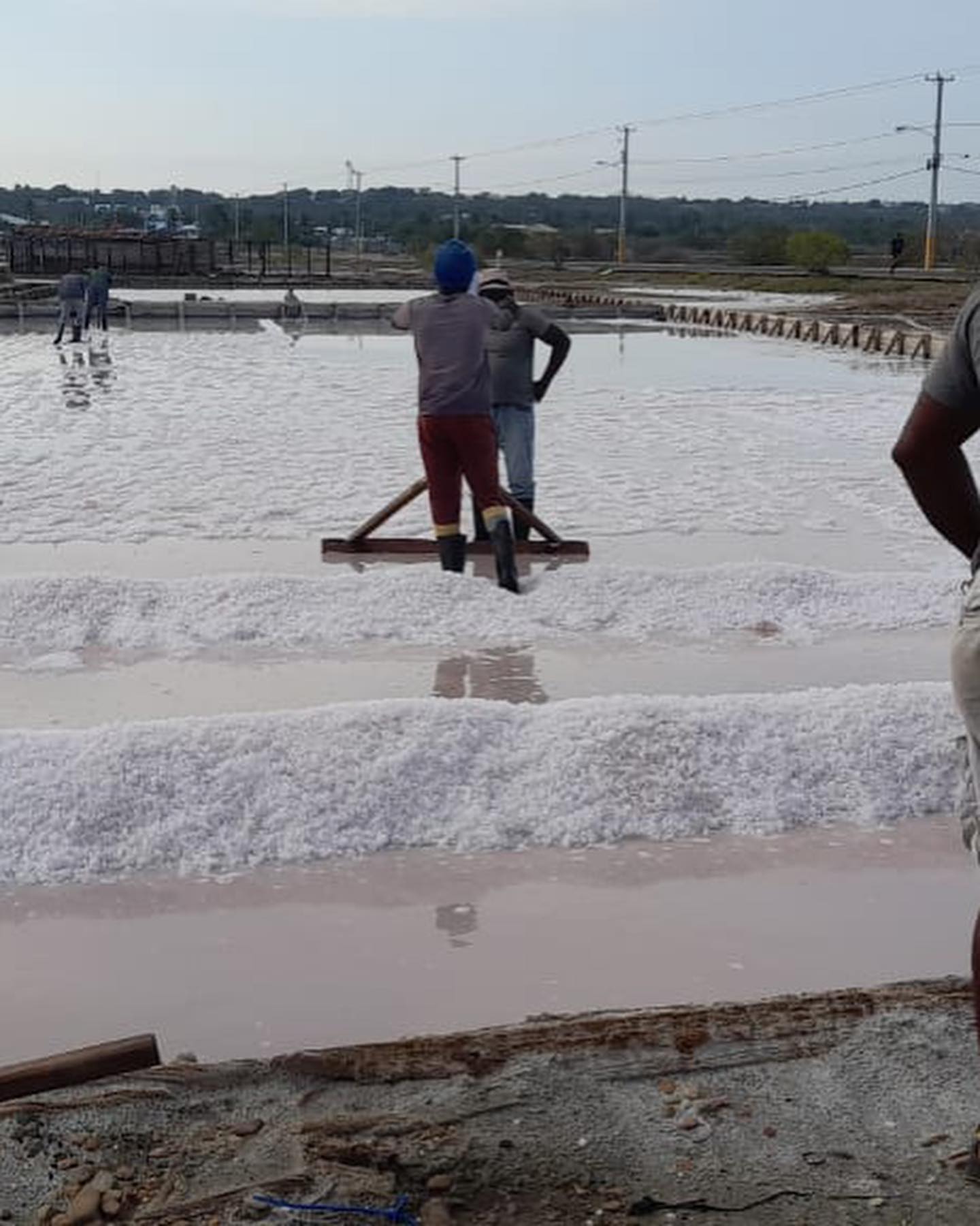 Salinas de Montecristi